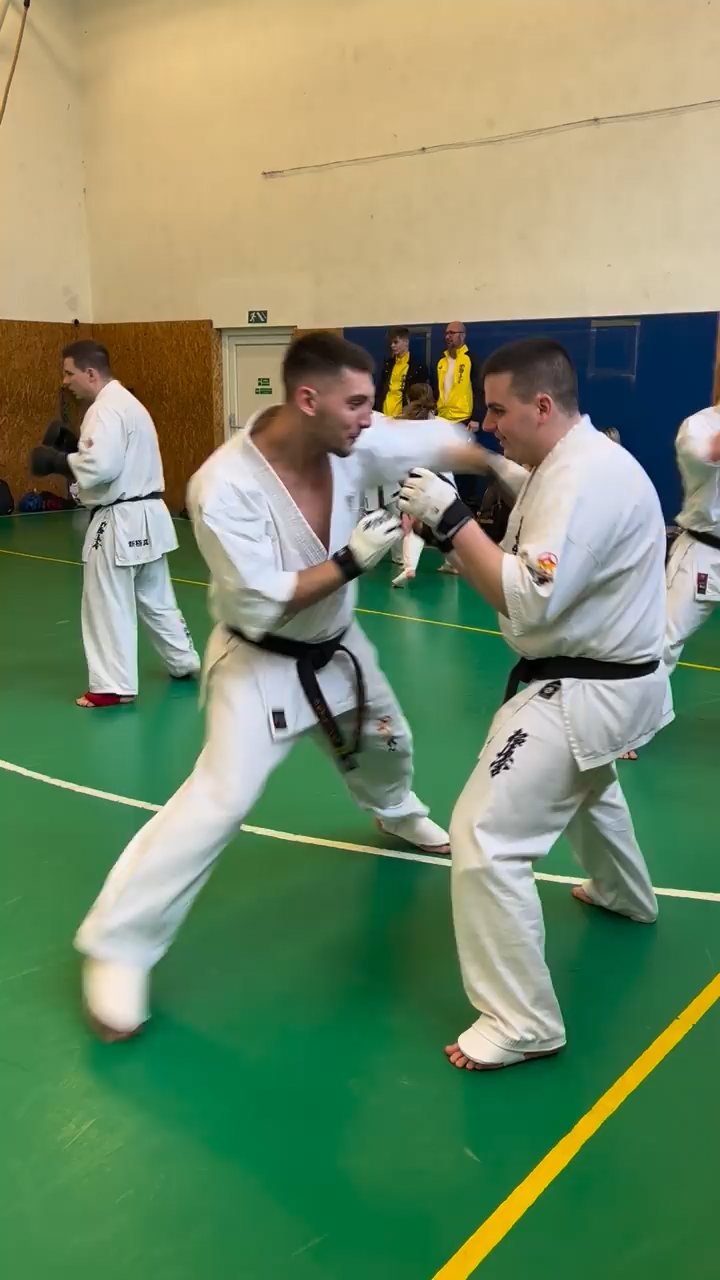 Szeminárium Sensei Rózsa Gáborral a Seishin Dójóban