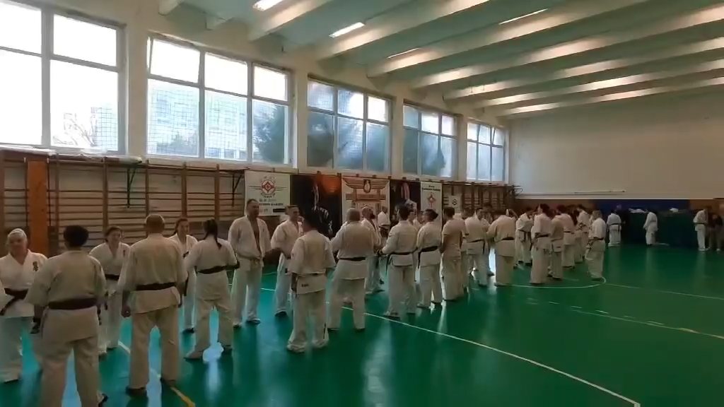 Szeminárium Sensei Rózsa Gáborral a Seishin Dójóban