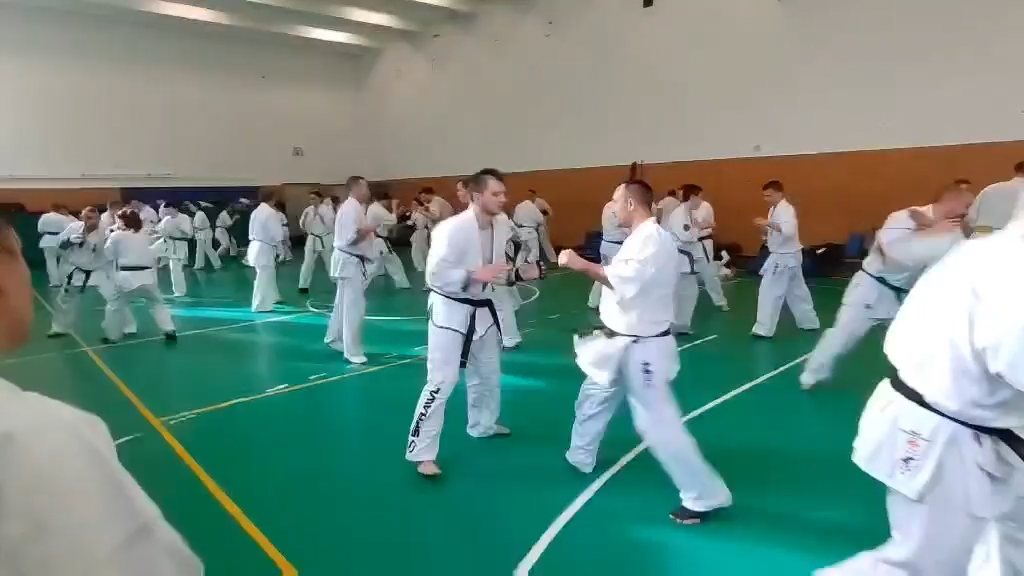 Szeminárium Sensei Rózsa Gáborral a Seishin Dójóban