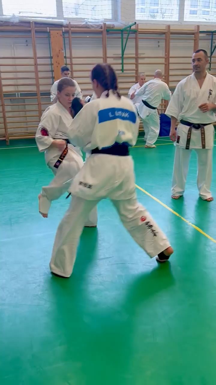 Szeminárium Sensei Rózsa Gáborral a Seishin Dójóban