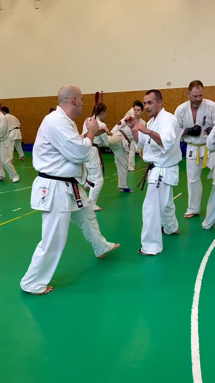 Szeminárium Sensei Rózsa Gáborral a Seishin Dójóban