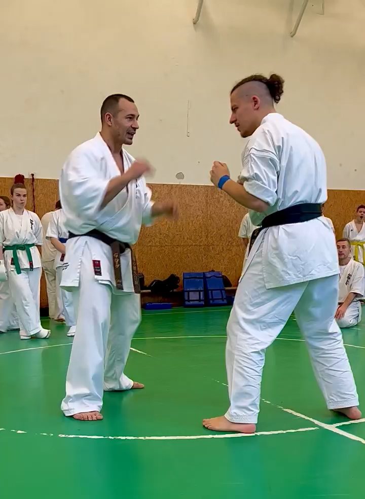 Szeminárium Sensei Rózsa Gáborral a Seishin Dójóban