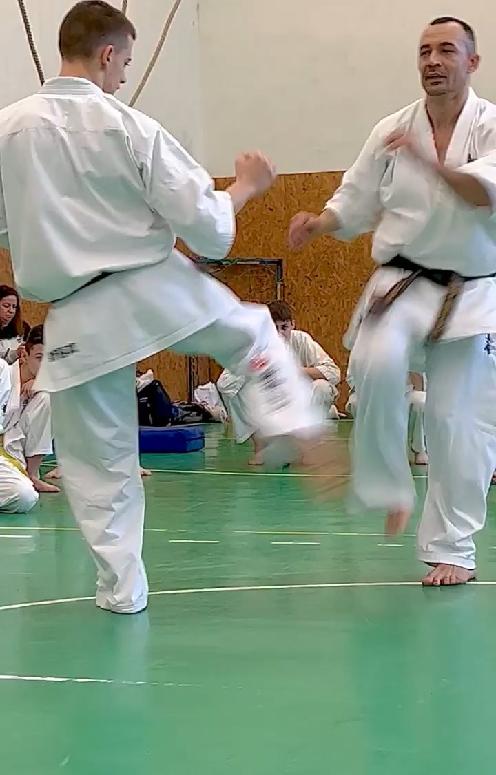 Szeminárium Sensei Rózsa Gáborral a Seishin Dójóban