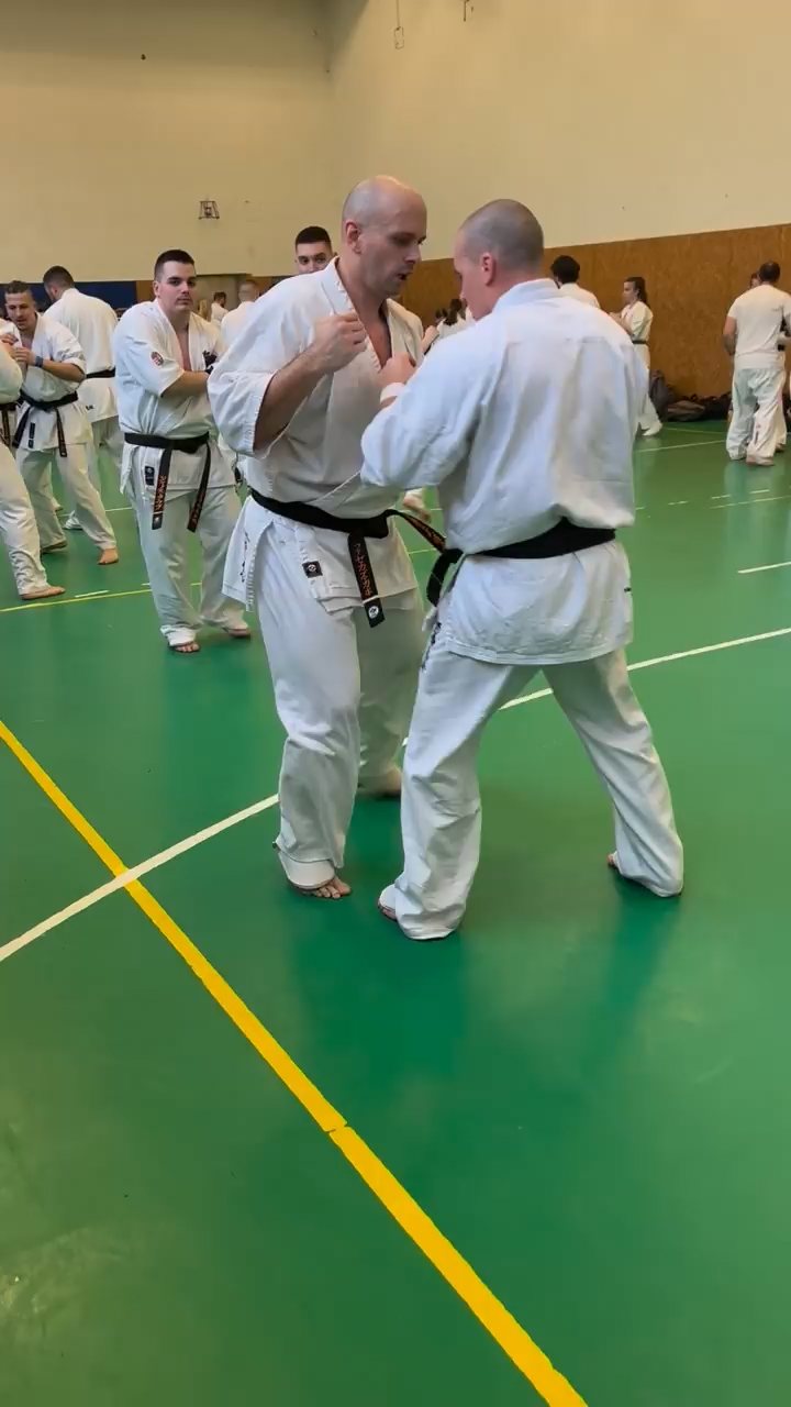 Szeminárium Sensei Rózsa Gáborral a Seishin Dójóban