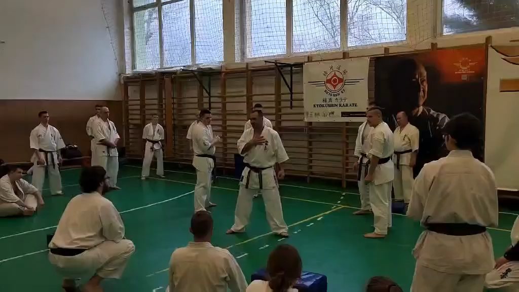 Szeminárium Sensei Rózsa Gáborral a Seishin Dójóban
