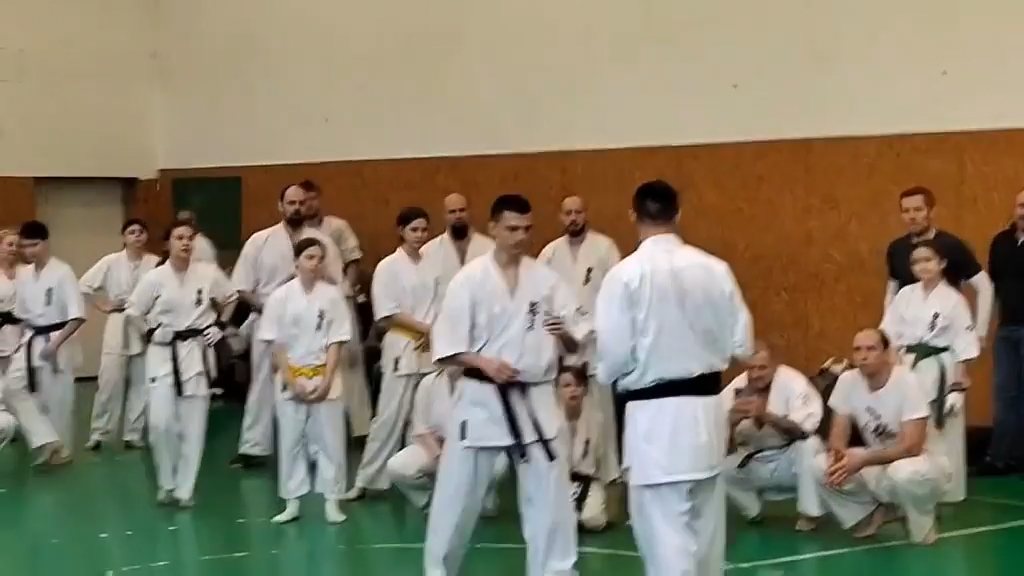 Szeminárium Sensei Rózsa Gáborral a Seishin Dójóban