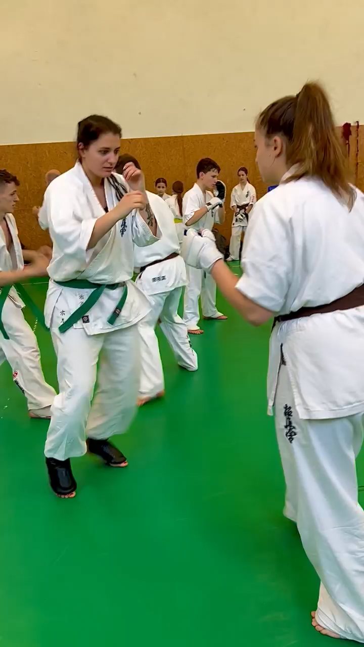 Szeminárium Sensei Rózsa Gáborral a Seishin Dójóban