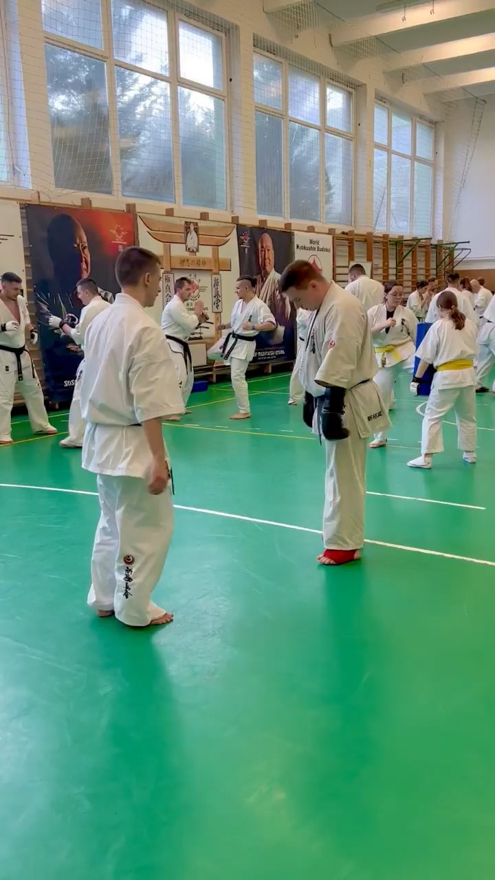 Szeminárium Sensei Rózsa Gáborral a Seishin Dójóban