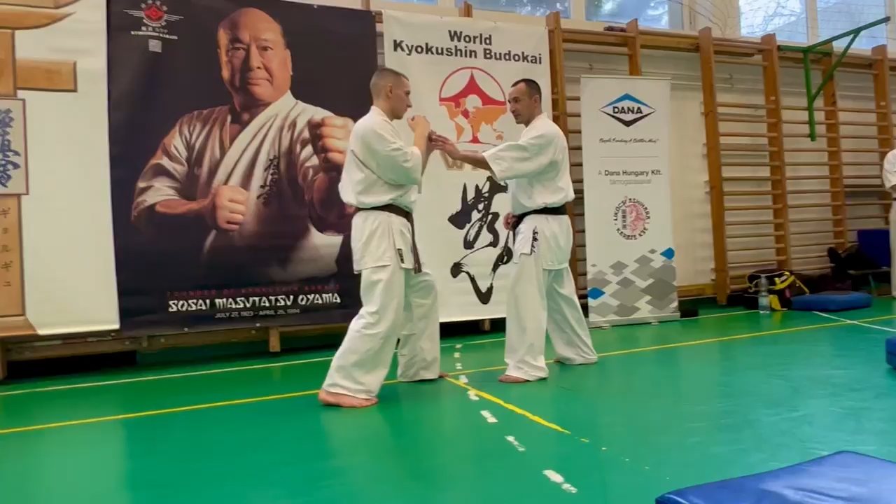 Szeminárium Sensei Rózsa Gáborral a Seishin Dójóban