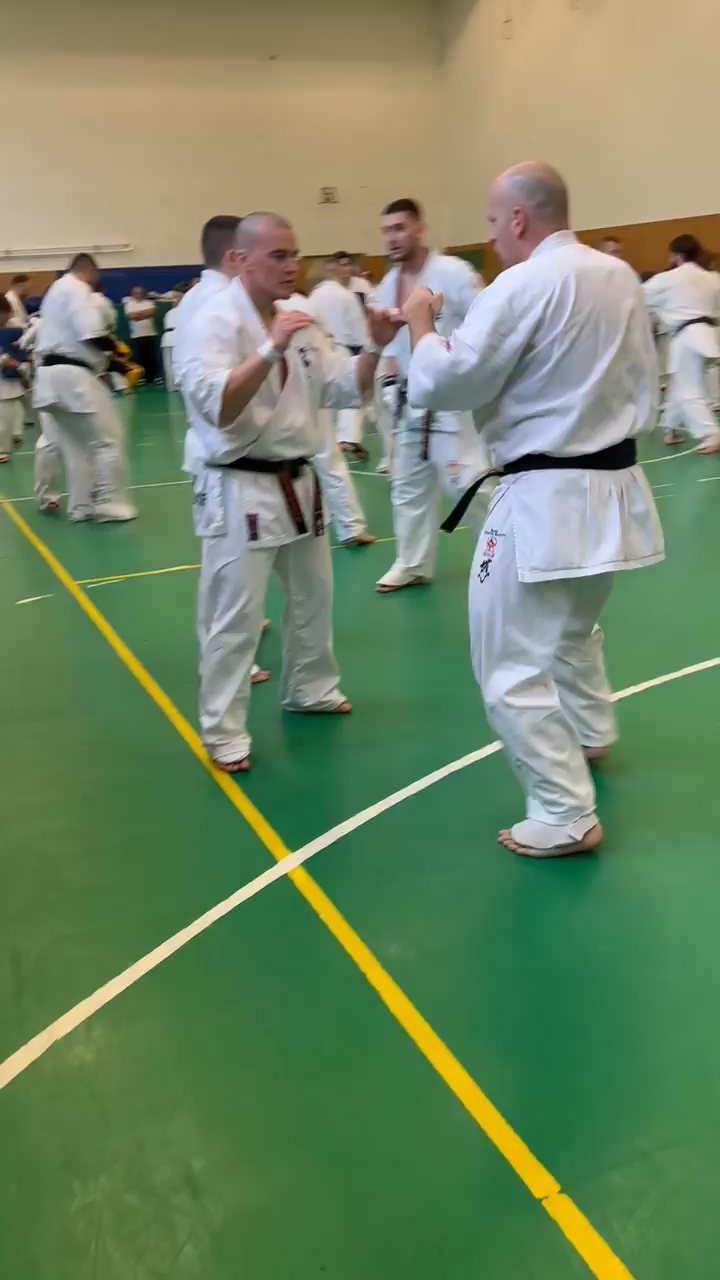 Szeminárium Sensei Rózsa Gáborral a Seishin Dójóban