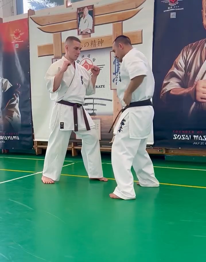 Szeminárium Sensei Rózsa Gáborral a Seishin Dójóban