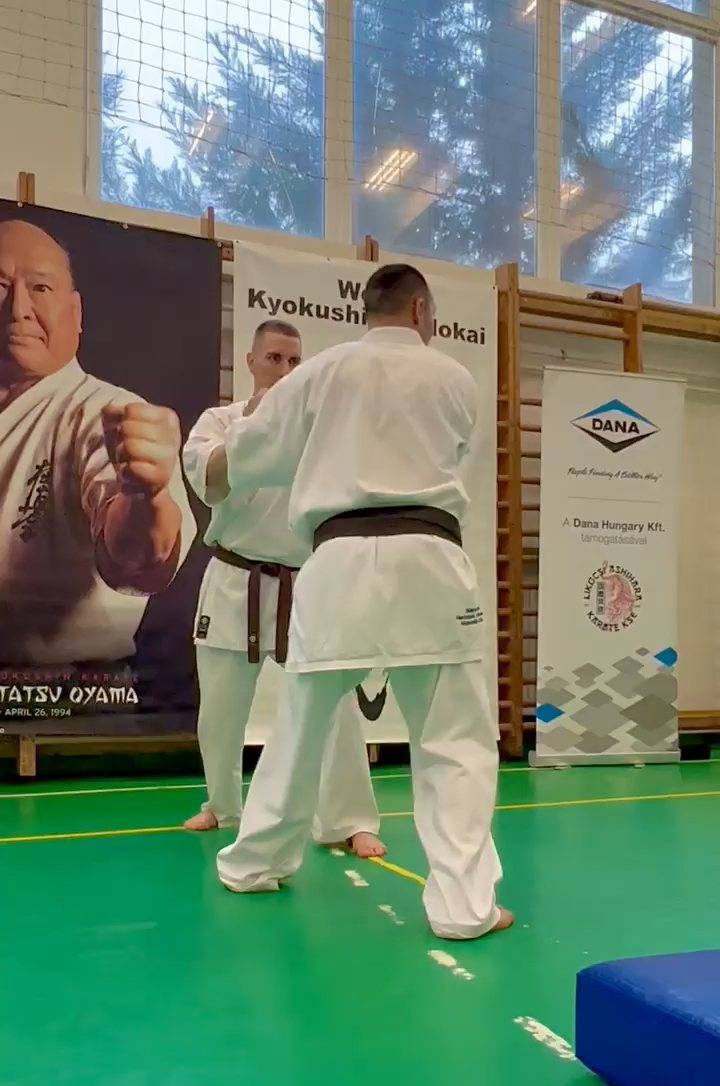 Szeminárium Sensei Rózsa Gáborral a Seishin Dójóban