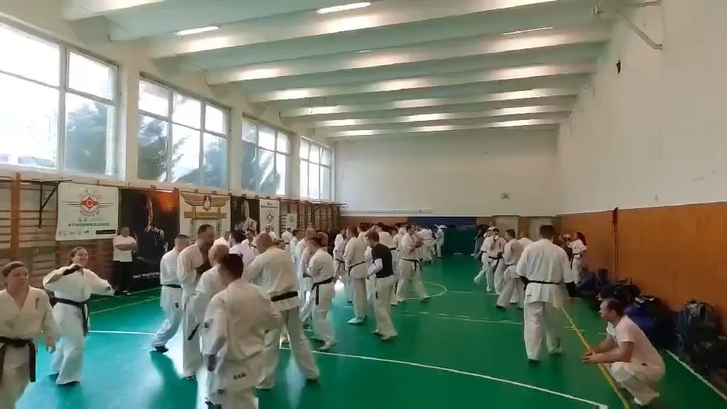 Szeminárium Sensei Rózsa Gáborral a Seishin Dójóban