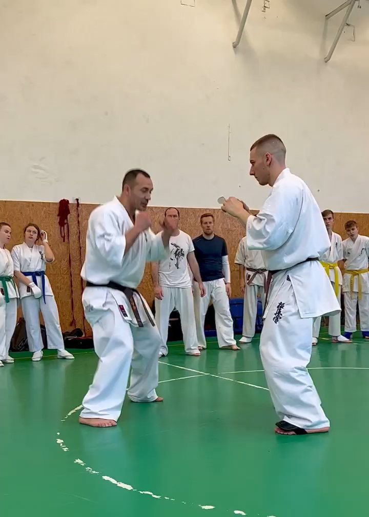 Szeminárium Sensei Rózsa Gáborral a Seishin Dójóban
