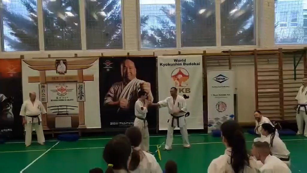Szeminárium Sensei Rózsa Gáborral a Seishin Dójóban