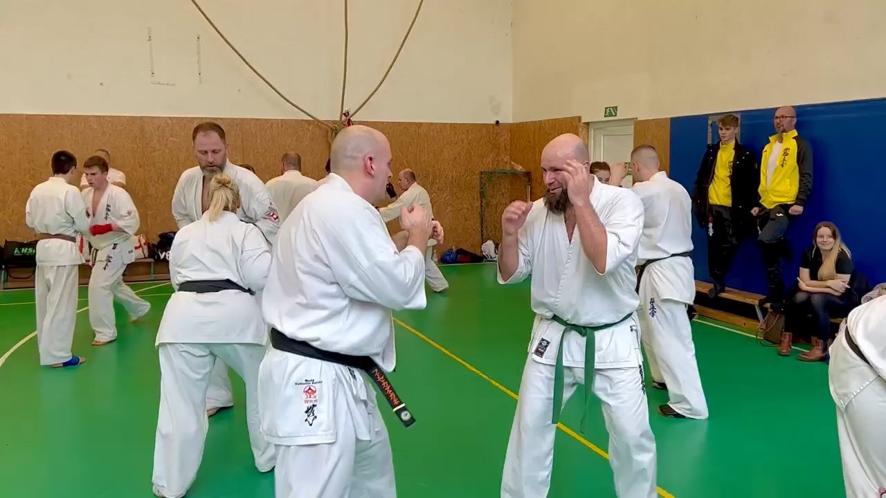 Szeminárium Sensei Rózsa Gáborral a Seishin Dójóban