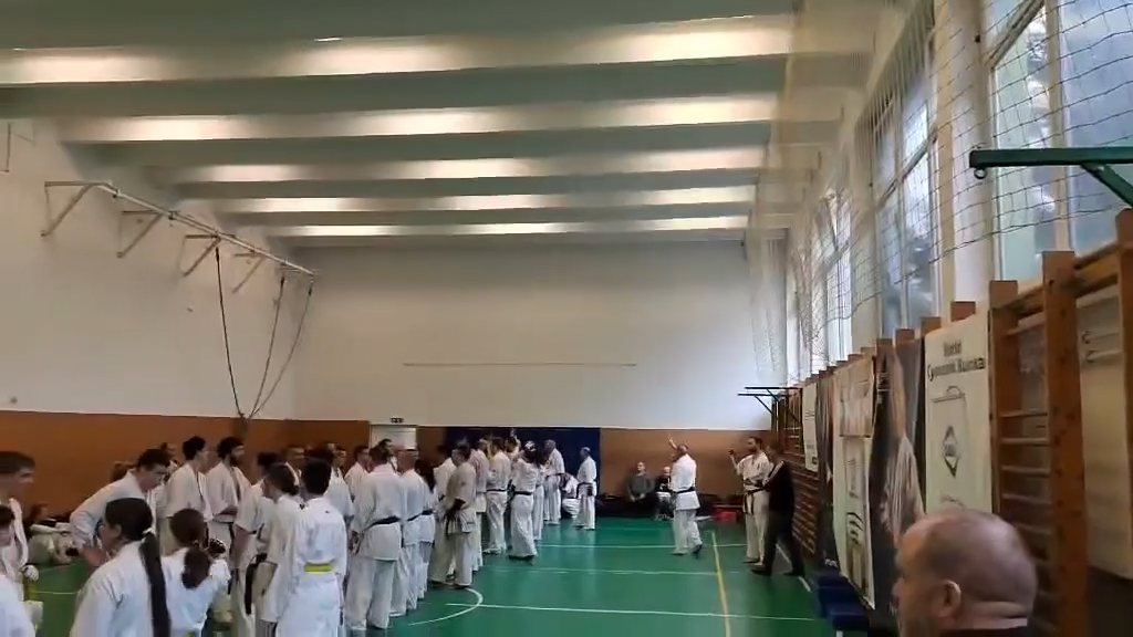 Szeminárium Sensei Rózsa Gáborral a Seishin Dójóban