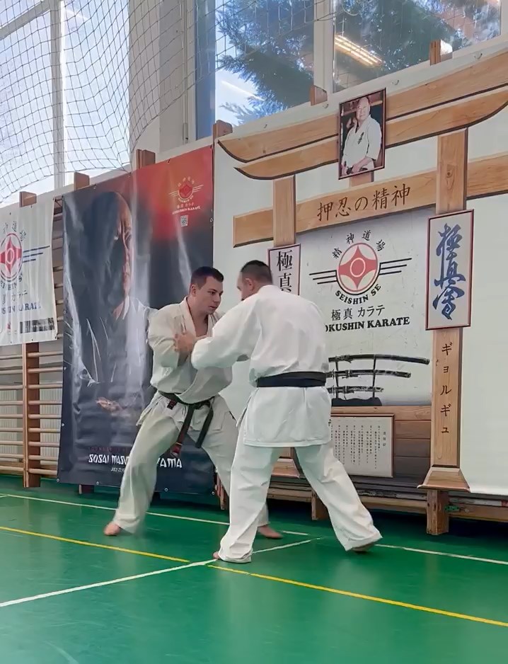 Szeminárium Sensei Rózsa Gáborral a Seishin Dójóban