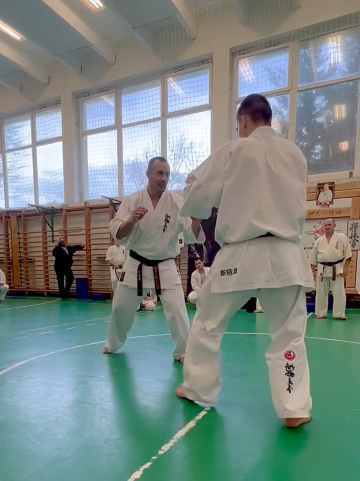 Szeminárium Sensei Rózsa Gáborral a Seishin Dójóban