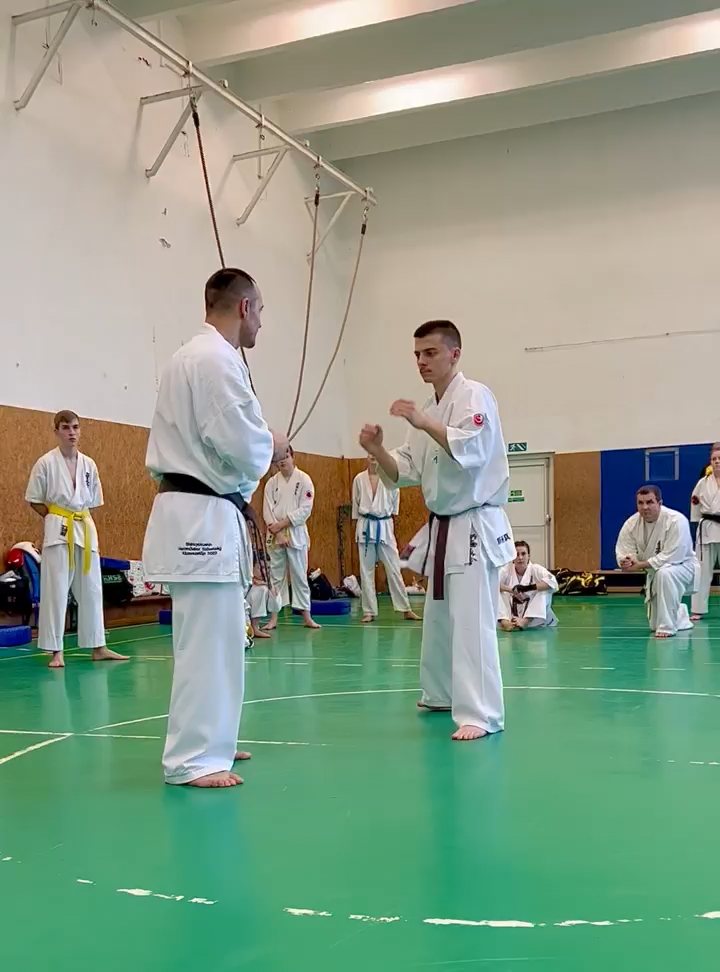 Szeminárium Sensei Rózsa Gáborral a Seishin Dójóban