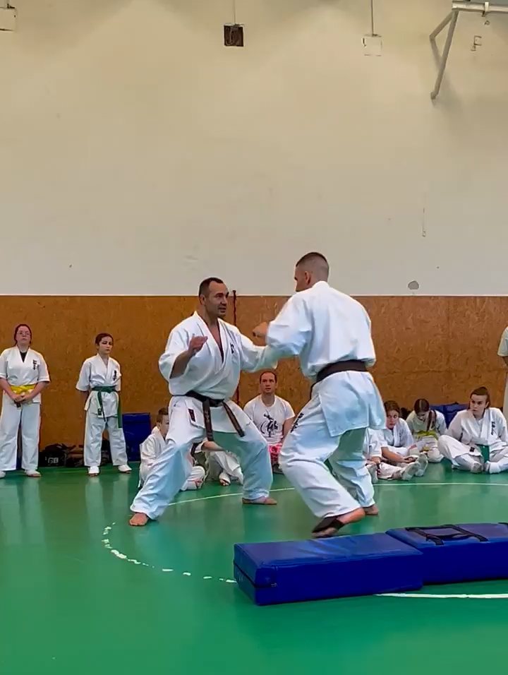 Szeminárium Sensei Rózsa Gáborral a Seishin Dójóban