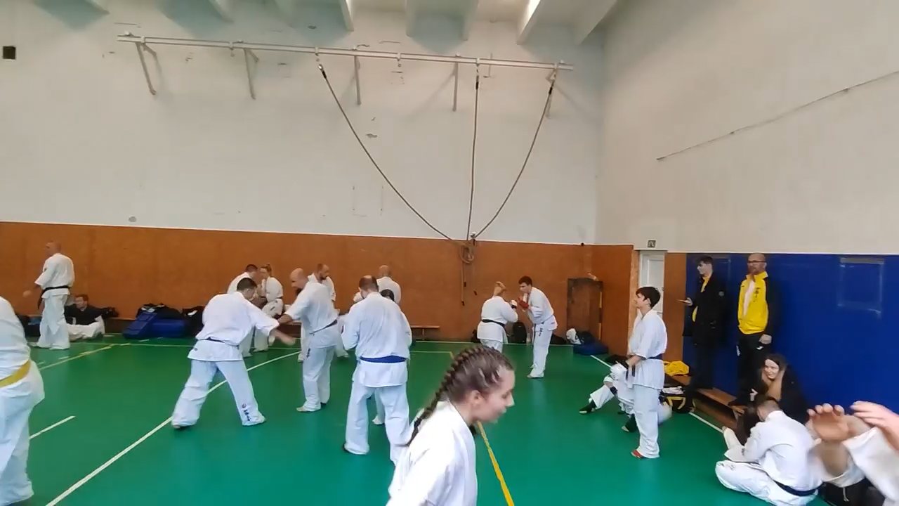 Szeminárium Sensei Rózsa Gáborral a Seishin Dójóban