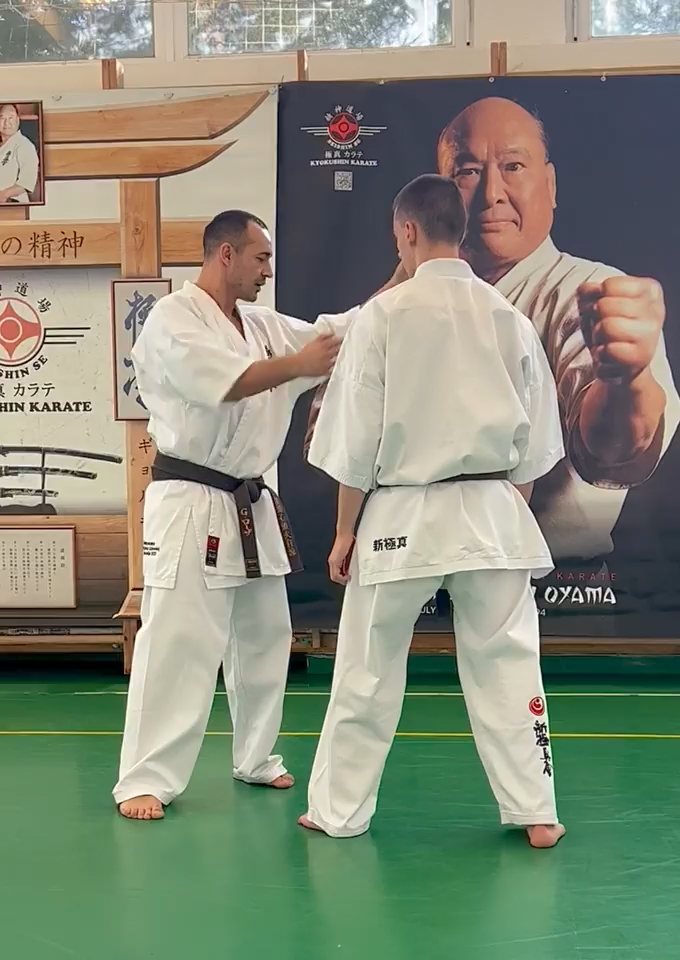 Szeminárium Sensei Rózsa Gáborral a Seishin Dójóban