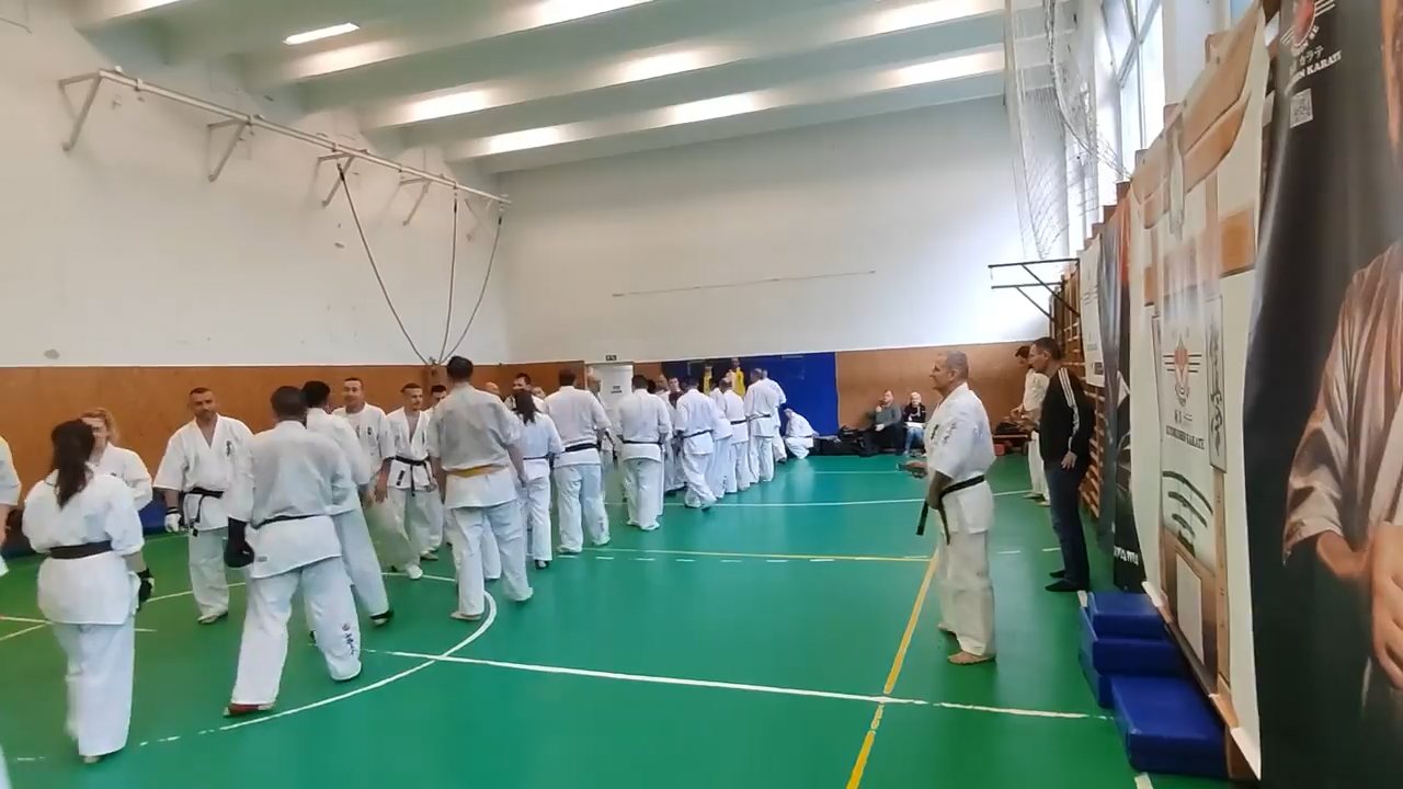 Szeminárium Sensei Rózsa Gáborral a Seishin Dójóban