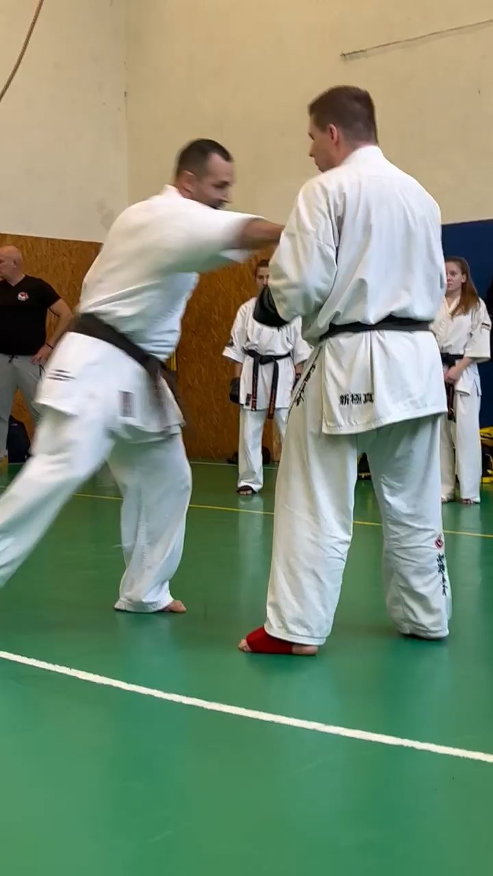 Szeminárium Sensei Rózsa Gáborral a Seishin Dójóban