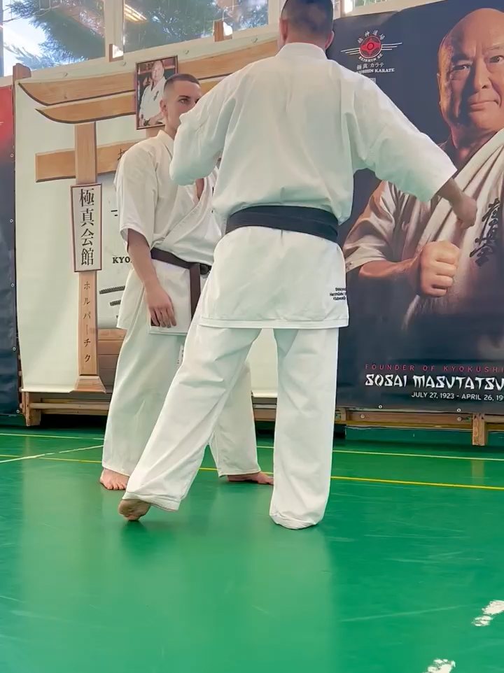 Szeminárium Sensei Rózsa Gáborral a Seishin Dójóban