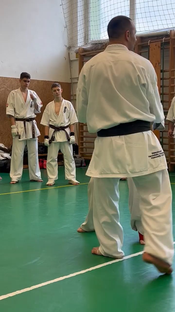 Szeminárium Sensei Rózsa Gáborral a Seishin Dójóban