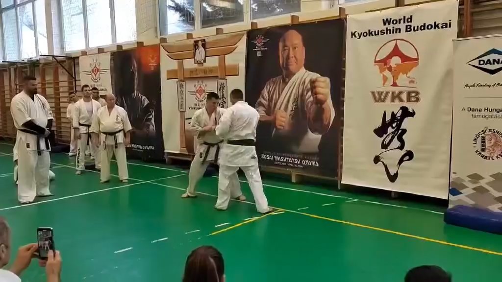 Szeminárium Sensei Rózsa Gáborral a Seishin Dójóban