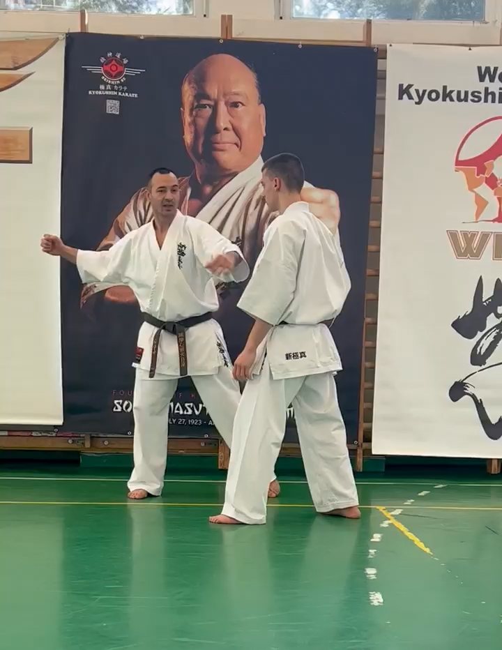 Szeminárium Sensei Rózsa Gáborral a Seishin Dójóban