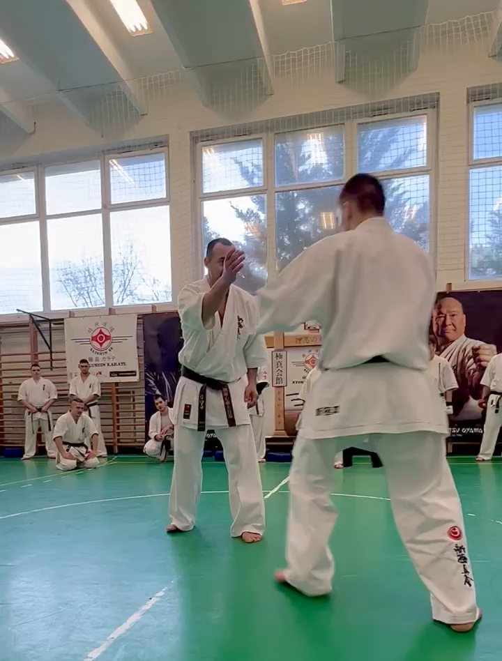 Szeminárium Sensei Rózsa Gáborral a Seishin Dójóban