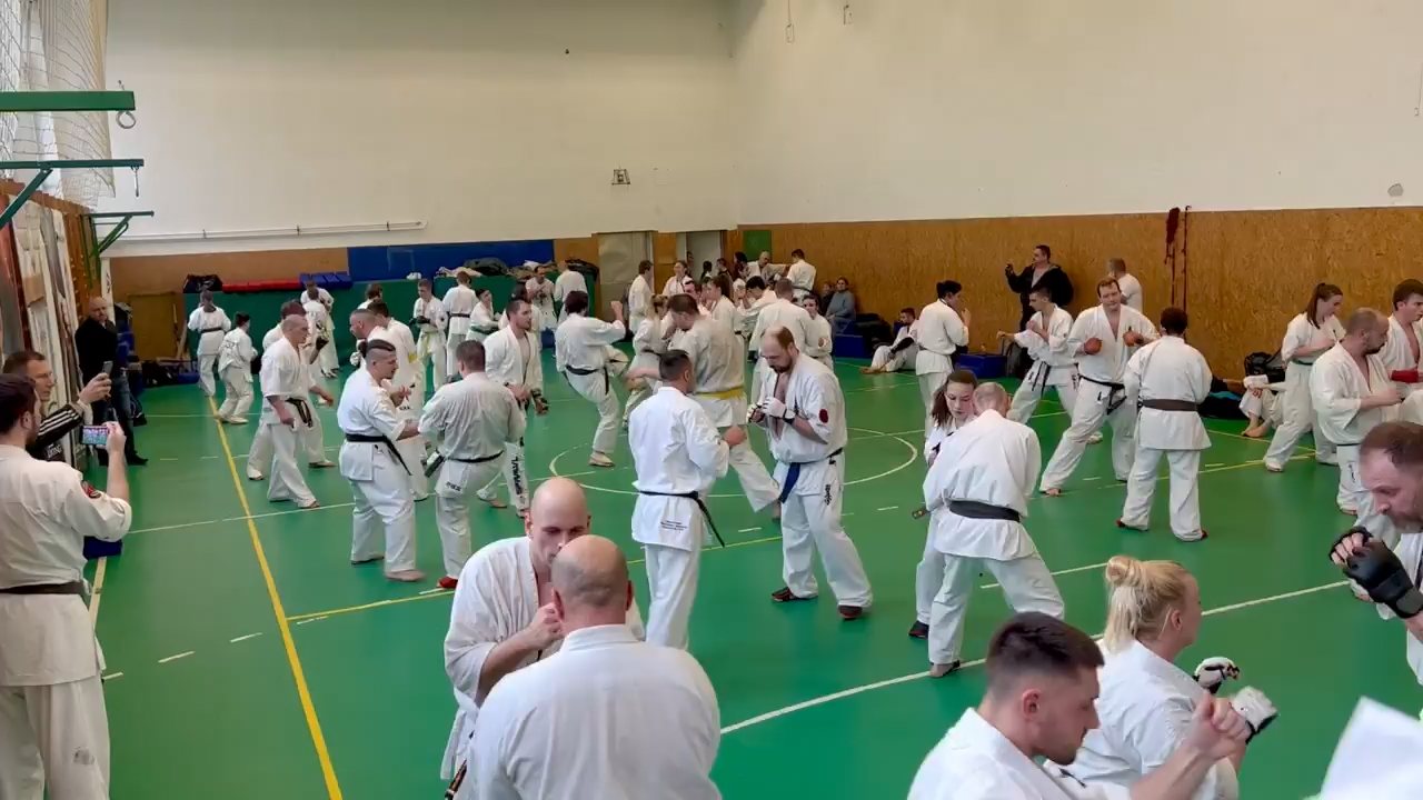 Szeminárium Sensei Rózsa Gáborral a Seishin Dójóban