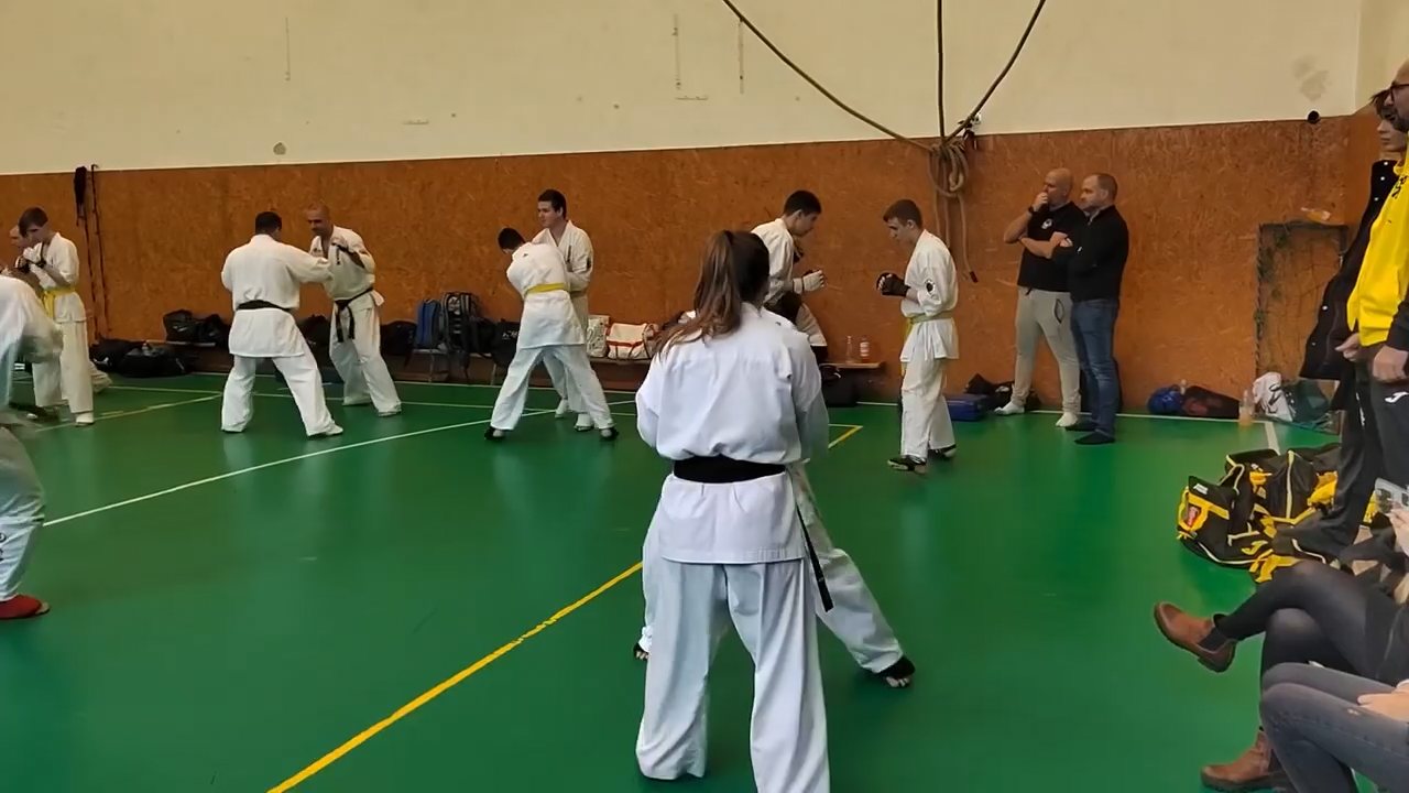 Szeminárium Sensei Rózsa Gáborral a Seishin Dójóban