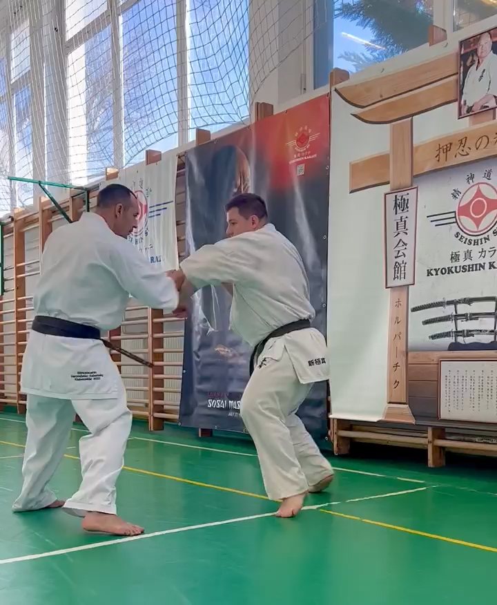 Szeminárium Sensei Rózsa Gáborral a Seishin Dójóban