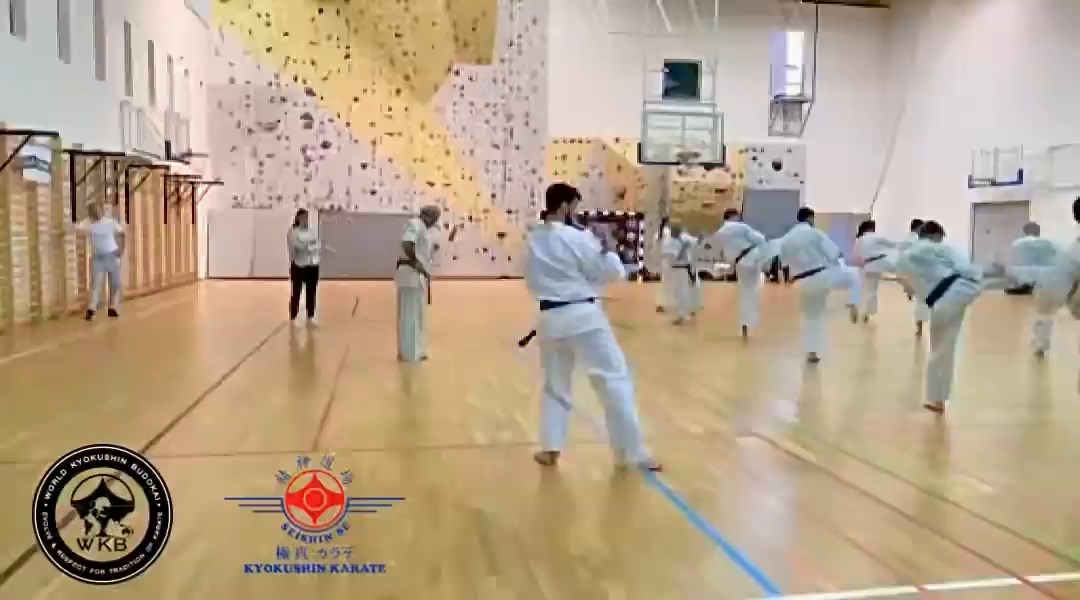 Shihan Sergei Vsevolodov Szeminárium