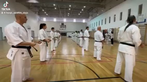 Shihan Sergei Vsevolodov Szeminárium