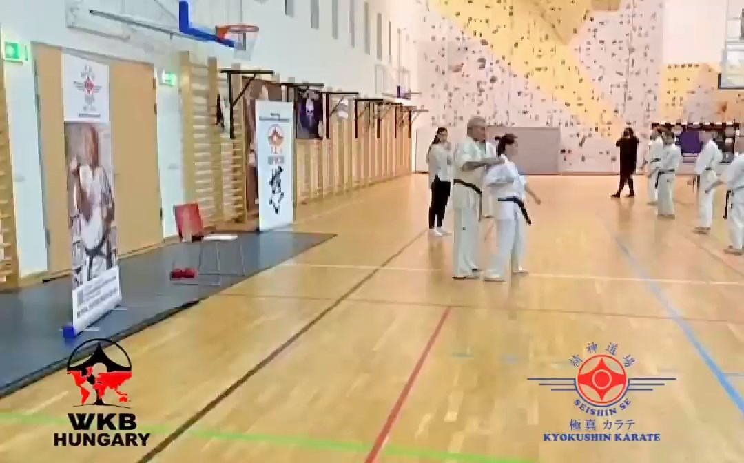 Shihan Sergei Vsevolodov Szeminárium