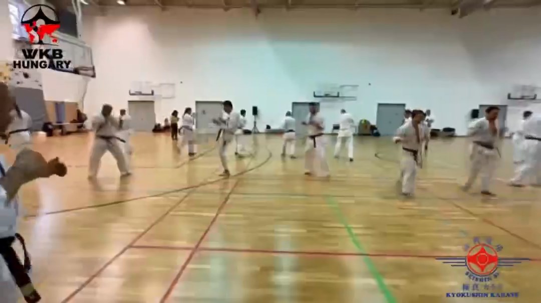 Shihan Sergei Vsevolodov Szeminárium