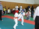 III. Shin Shibu