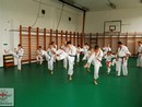 II. SHIN-SHIBU Őszi Cserháti Edzőtábor