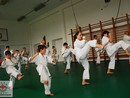 II. SHIN-SHIBU Őszi Cserháti Edzőtábor
