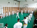 II. SHIN-SHIBU Őszi Cserháti Edzőtábor