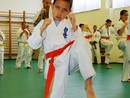 II. SHIN-SHIBU Őszi Cserháti Edzőtábor