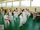 II. SHIN-SHIBU Őszi Cserháti Edzőtábor