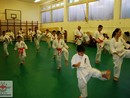 II. SHIN-SHIBU Őszi Cserháti Edzőtábor