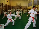 II. SHIN-SHIBU Őszi Cserháti Edzőtábor