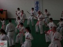 II. SHIN-SHIBU Őszi Cserháti Edzőtábor